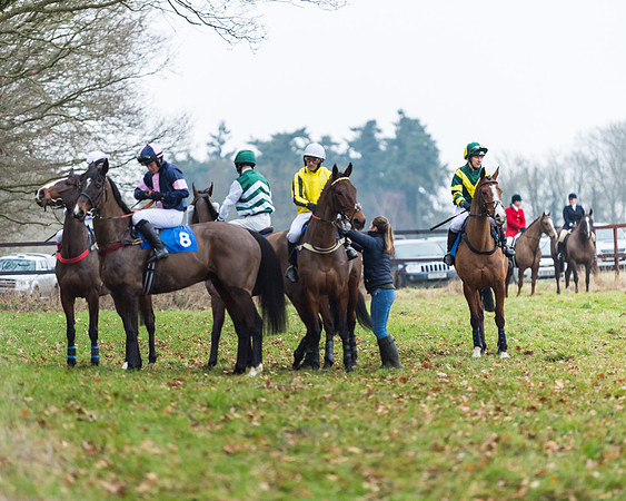 Novice Riders