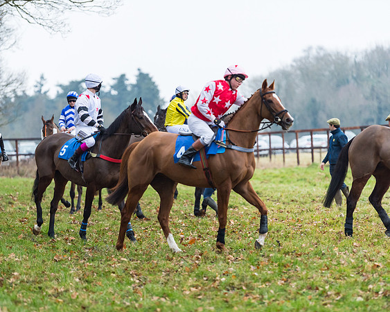 Novice Riders