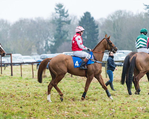 Novice Riders