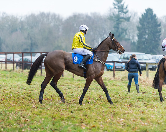 Novice Riders