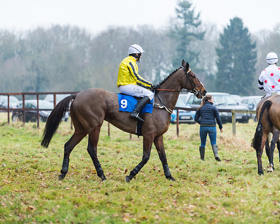 Novice Riders