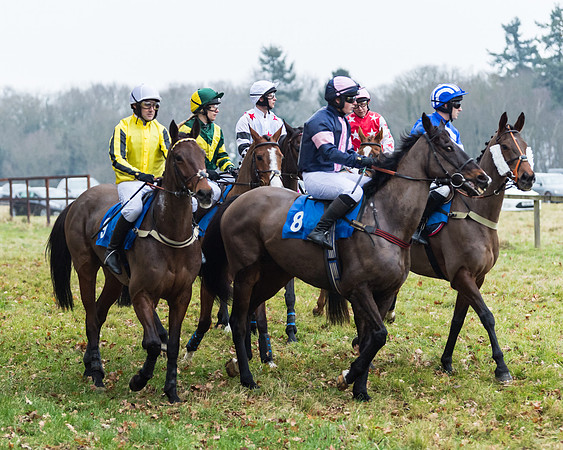 Novice Riders