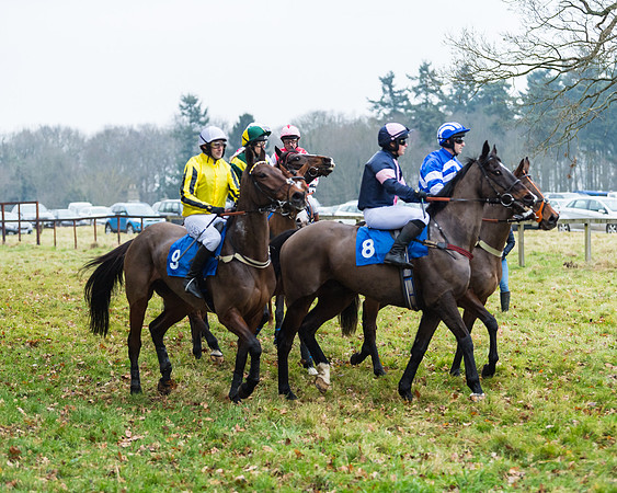 Novice Riders