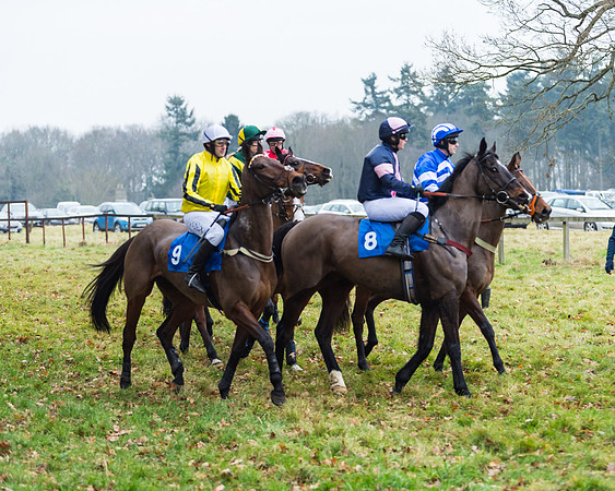 Novice Riders