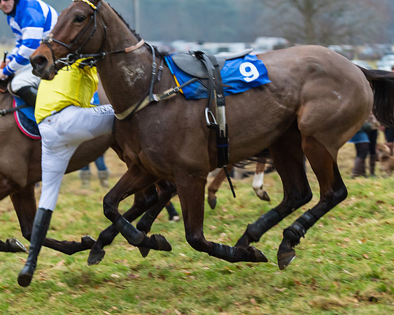 Novice Riders