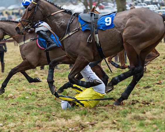 Novice Riders
