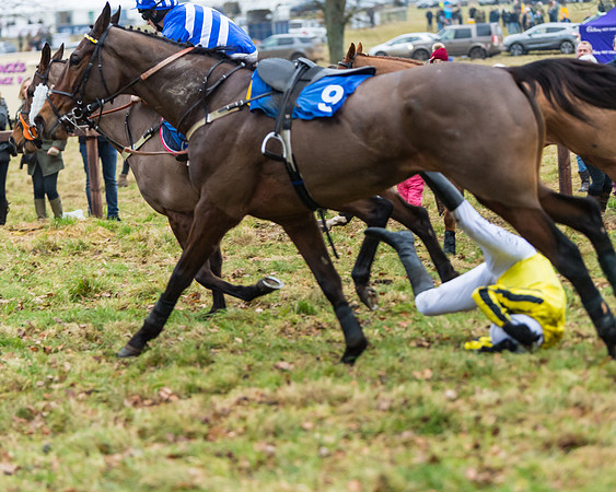 Novice Riders