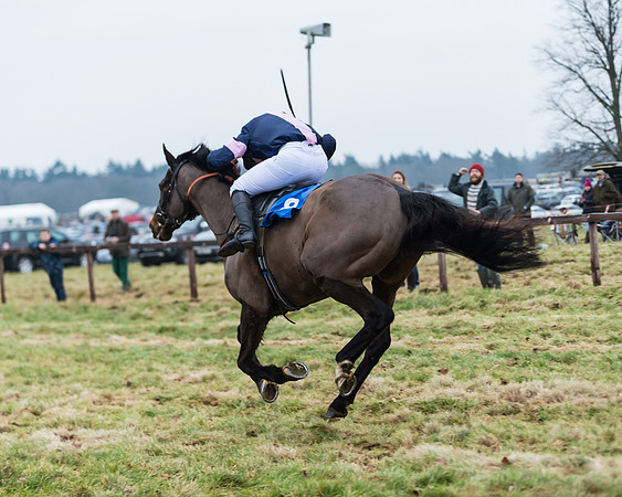 Novice Riders