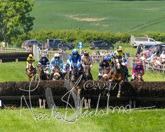 Race 2 - The Maiden  (198 of 442)