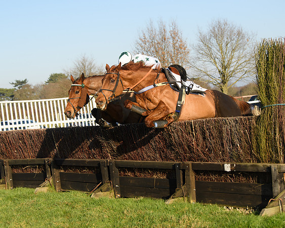 Race 2 - PPORA Novice Riders  (187 of 205)