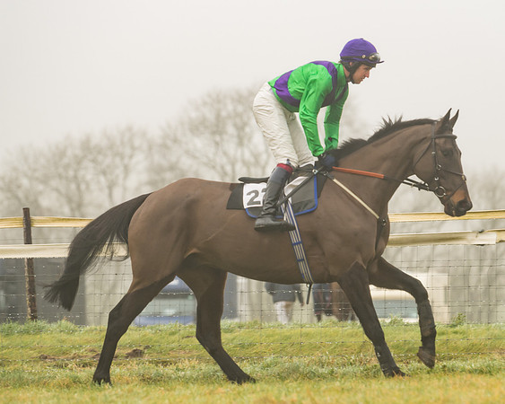 Saddlers Encore - Josh Newman