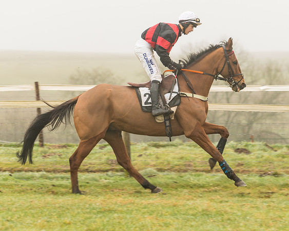 William Money - Connor Brace