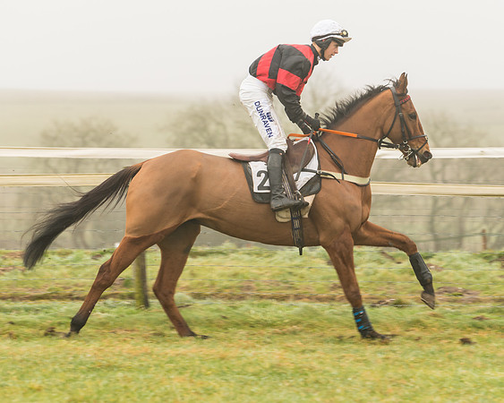 William Money - Connor Brace
