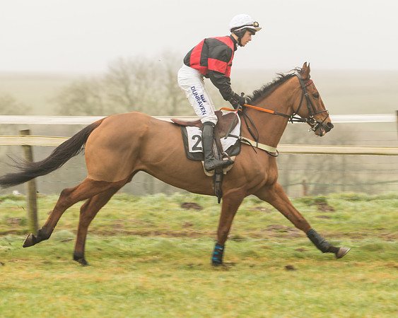 William Money - Connor Brace