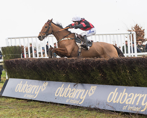 William Money - Connor Brace