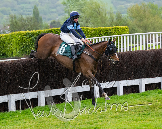 Race 5 - Mares Open  (76 of 129)