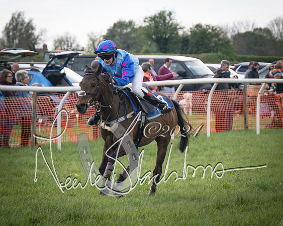 Pony Race 2 (64 of 84)-
