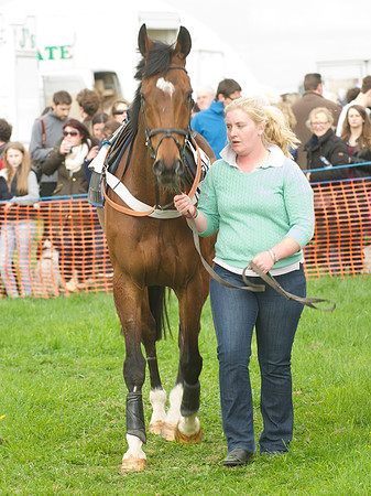 Kimblewick at Kimble Restricted Race