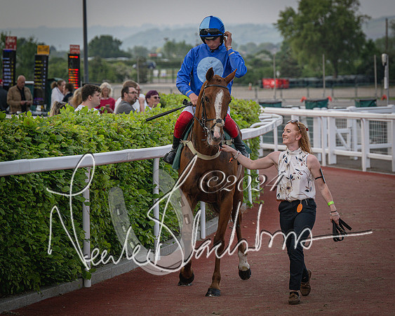 Race 5 - Mares Open Hunter Steeplechase 3m2f 70y (56 of 269)