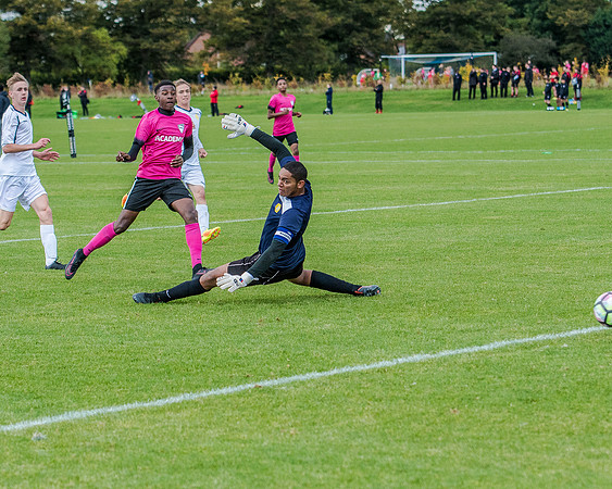 edsv 6-0 191016 (252 of 257)