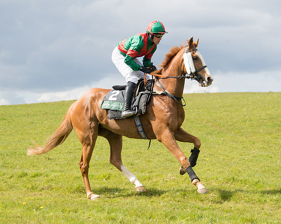 Race 3 - Owner Trainer conditions (10 of 132)