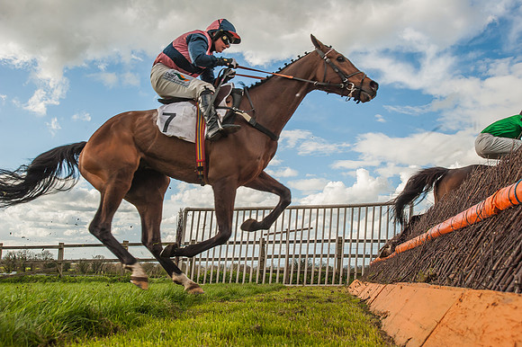 Race 6 - Open Maiden -117