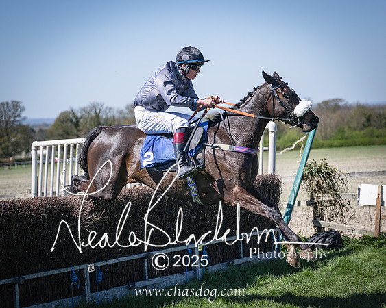 Race 2 - The Maiden (92 of 118)