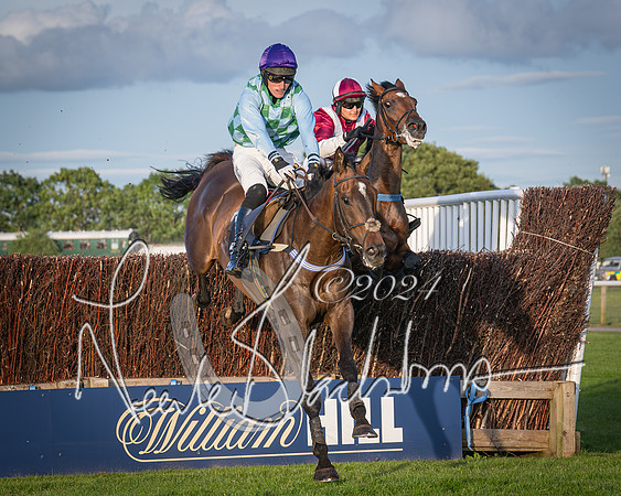 Race 5 - tipsterreviews.co.uk handicap (51 of 107)