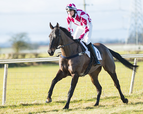 Ballycahane - Milo Herbert