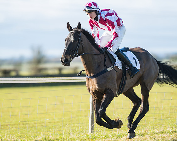 Ballycahane - Milo Herbert