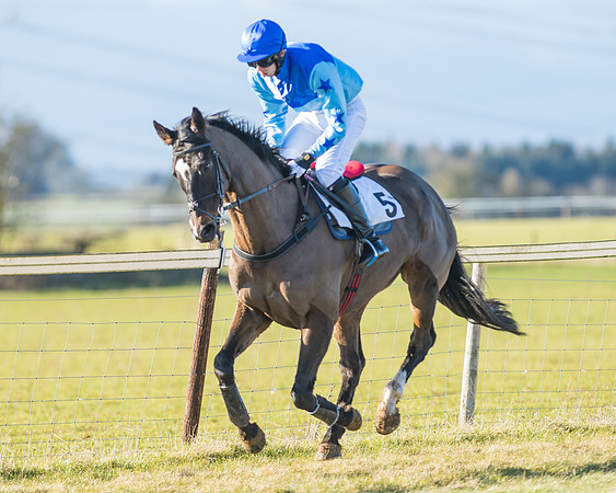 Heythrop Hunt Meeting 2018