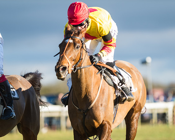 Heythrop Hunt Meeting 2018