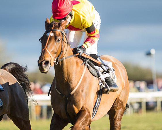 Heythrop Hunt Meeting 2018