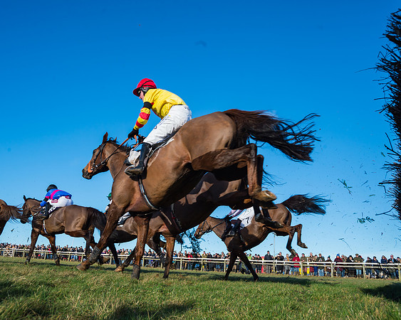 Heythrop Hunt Meeting 2018