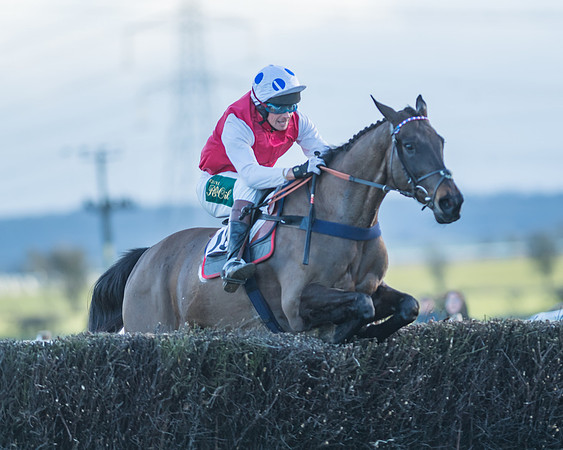 Silent Warrior - Nick Phillips