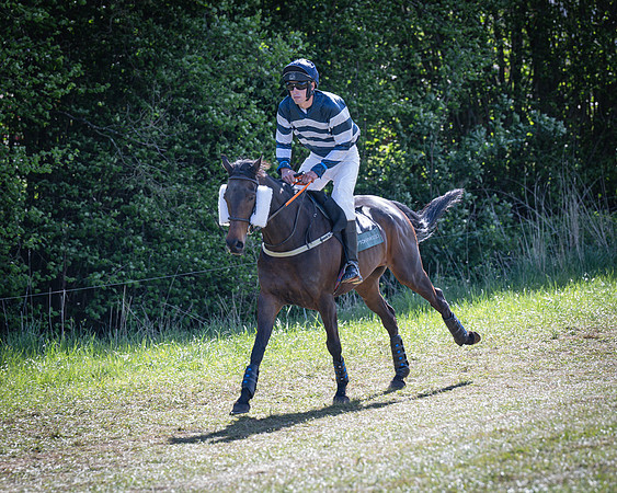 Race 5 - F N Pile and Sons PPORA Novice Riders (1 of 151)