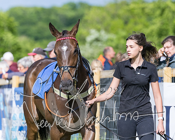 Race 6 - The Maiden  (7 of 448)