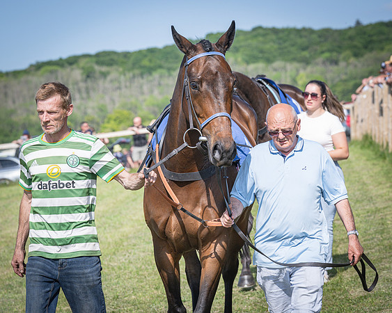 Race 5 - The Richardsons Accountants Maiden Race (15 of 155)