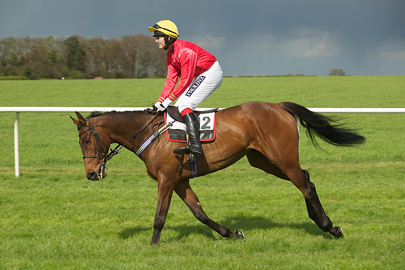 Novice Riders 5