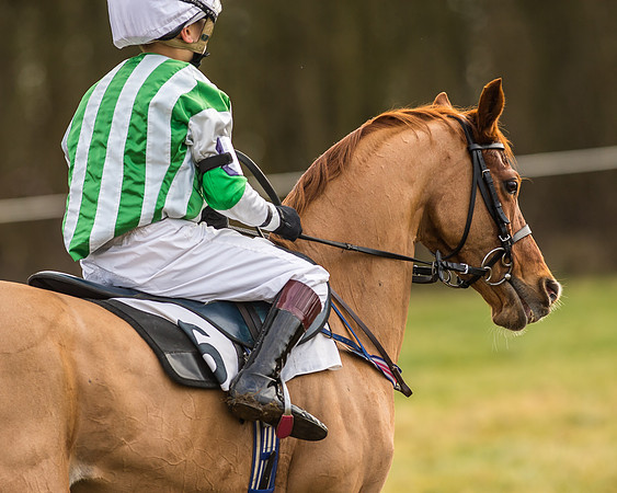 Kimblewick Easter Meeting 2017
