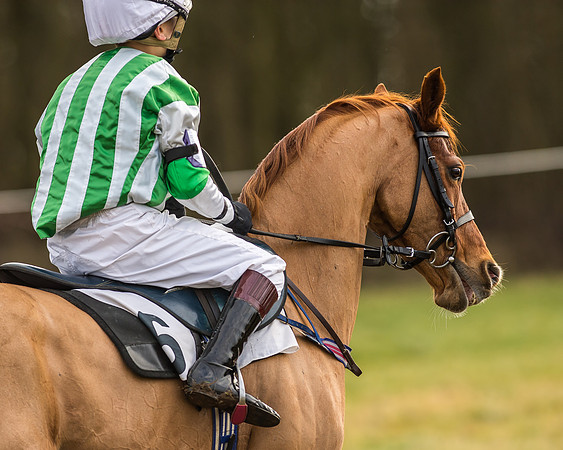 Kimblewick Easter Meeting 2017