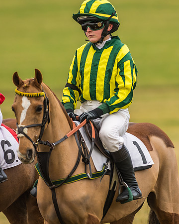 Kimblewick Easter Meeting 2017