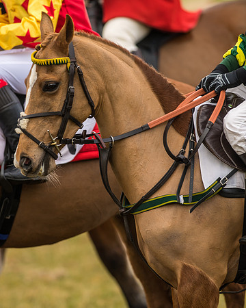 Kimblewick Easter Meeting 2017