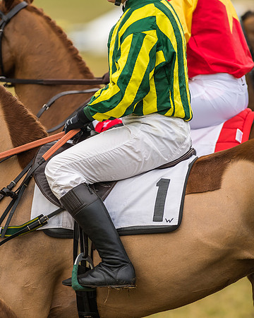 Kimblewick Easter Meeting 2017