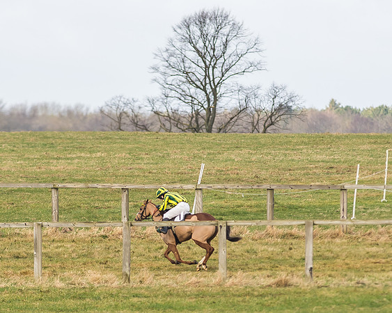 Kimblewick Easter Meeting 2017