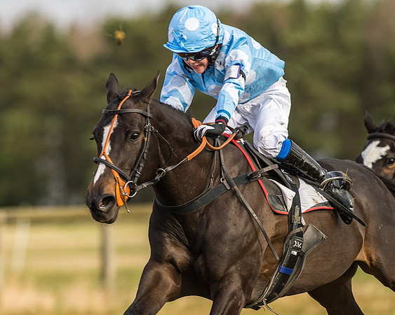 Kimblewick Easter Meeting 2017