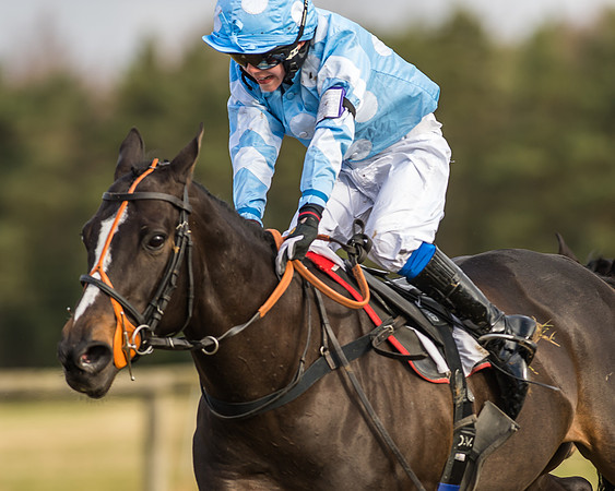 Kimblewick Easter Meeting 2017