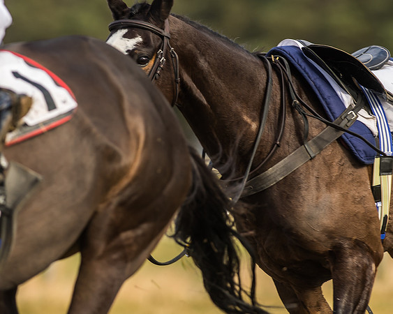 Kimblewick Easter Meeting 2017