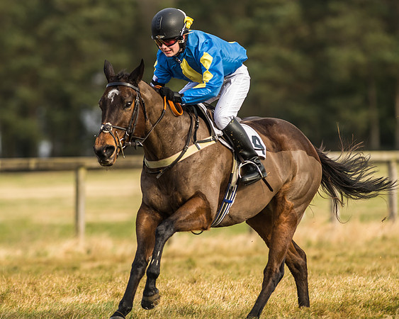 Kimblewick Easter Meeting 2017