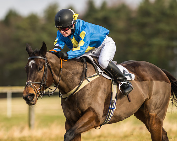 Kimblewick Easter Meeting 2017